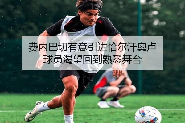 费内巴切有意引进恰尔汗奥卢 球员渴望回到熟悉舞台