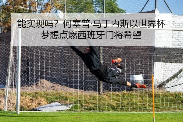 能实现吗？何塞普·马丁内斯以世界杯梦想点燃西班牙门将希望